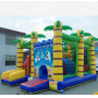 Commercial Inflatable Bouncer